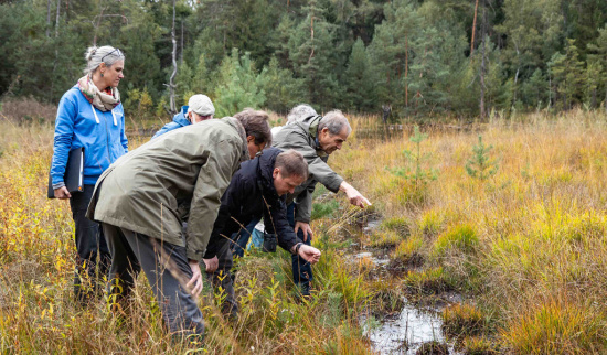 Umweltminister von Breitenbuch besucht die Waldmoore bei Großdittmannsdorf. Foto: Robert Beske